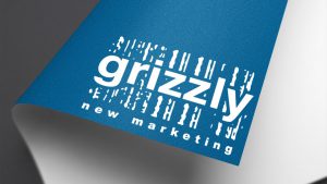 Hostnet Managed Hosting - Grizzly Case Study